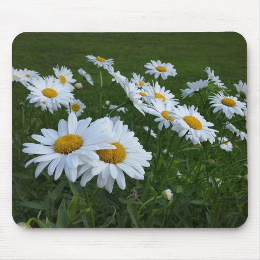 witte zeeduivel muismat (Voorkant)