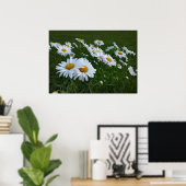 witte zeeduivel poster (Thuiskantoor)