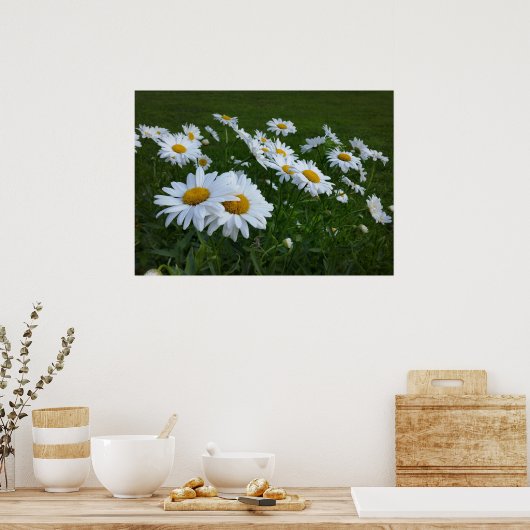 witte zeeduivel poster (Keuken)