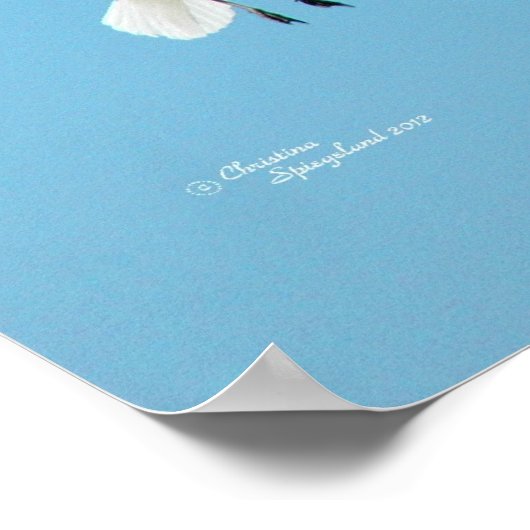 Witte zeegarren die Poster voeren (Hoek)