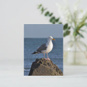 Witte zeemeeuw en oceaan briefkaart (Staand voorkant)