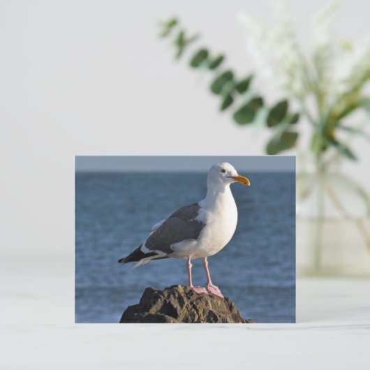 Witte zeemeeuw en oceaan briefkaart (Staand voorkant)