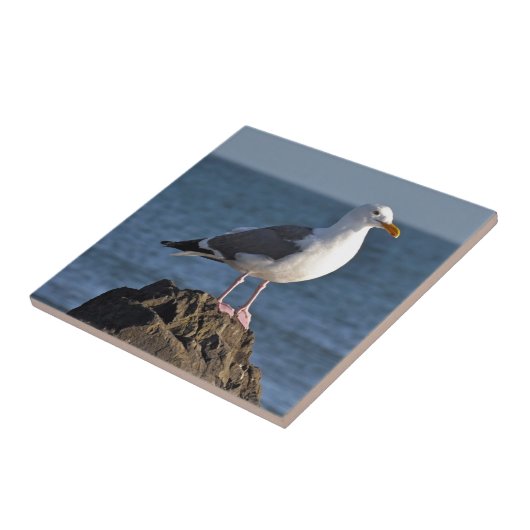 Witte zeemeeuw en oceaan tegeltje (Zijkant)