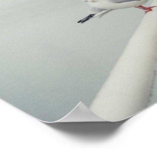 Witte zeemeeuw op een winterdag poster (Hoek)