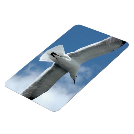 Witte zeemeeuw vliegende Flexi Magnet Magneet (Linkerzijde)