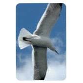 Witte zeemeeuw vliegende Flexi Magnet Magneet (Verticaal)