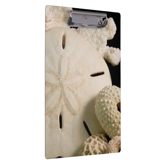 Witte zeemijlen en zanddollar klembord (Rechts)