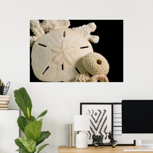 Witte zeemijlen en zanddollar poster (Thuiskantoor)