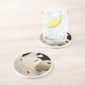 Witte zeemijlen en zanddollar zandsteen onderzetter (Zijkant)