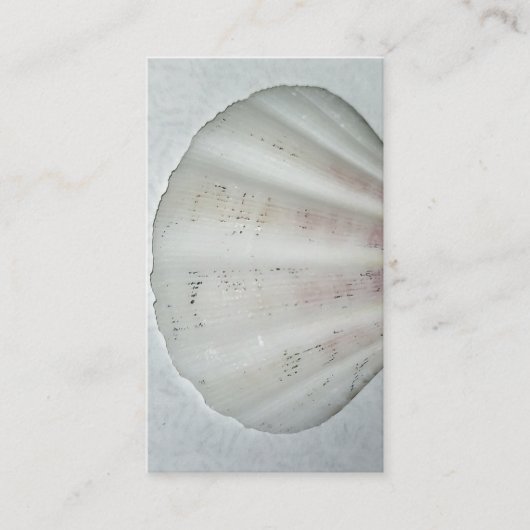 Witte Zeeschelp visitekaartje neutrale kleuren (Voorkant)