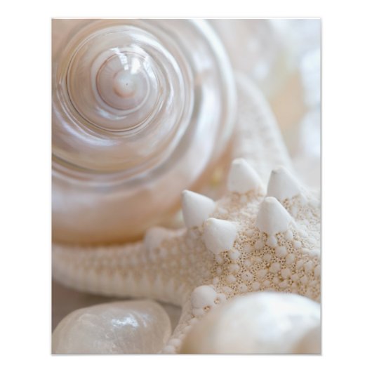 Witte zeeschols Stapelvis Tropische strand Zeeslag Foto Afdruk (Voorkant)