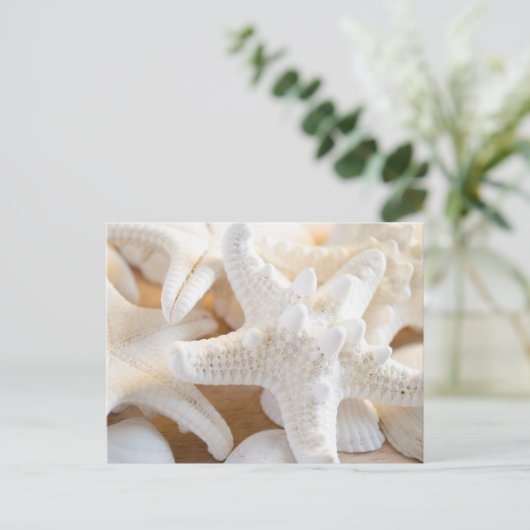 witte zeester briefkaart (Staand voorkant)