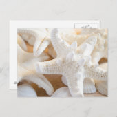 witte zeester briefkaart (Voorkant / Achterkant)