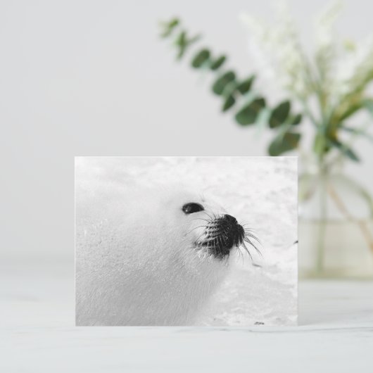 Witte zegel briefkaart (Staand voorkant)