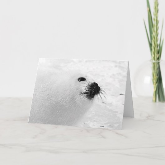 Witte zegel feestdagen kaart (Voorkant)