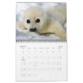 Witte zegels! kalender (Mar 2026)