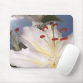 witte zetmeellib (Lilium orientalis), Muismat (Met muis)