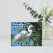 Witte zilverreiger in het wild feestdagenkaart (Staand voorkant)