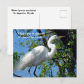 Witte zilverreiger in het wild feestdagenkaart (Voorkant / Achterkant)