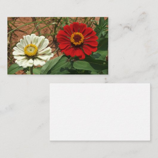 Witte Zinnia en Rode Zinnia Enclosure Kaart (Voorkant / Achterkant)