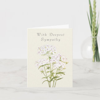 witte zoete willem denken van u sympathie kaart