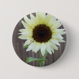 Witte zonnebloem tegen een verweerde schutting ronde button 5,7 cm