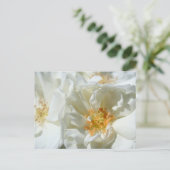 Witte zonnige Rozen Briefkaart (Staand voorkant)
