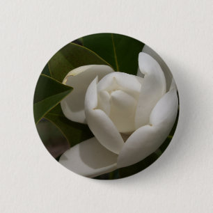 witte zuidelijke magnolia bloemknop ronde button 5,7 cm