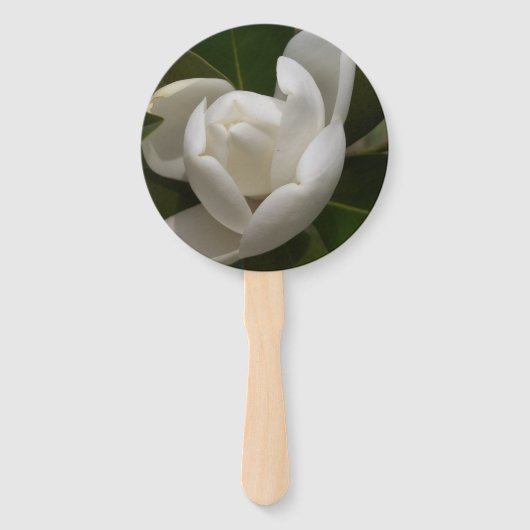 witte zuidelijke magnoliabloemknop handwaaier (Voorkant)