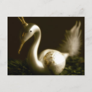 Witte Zwaan • Het Briefkaart van Kerstmis
