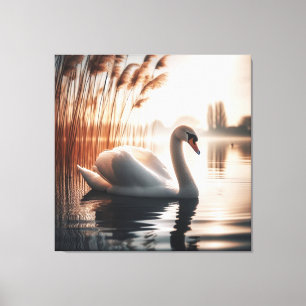 Witte Zwaan In Een Vijver Canvas Afdruk