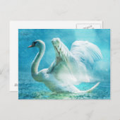 Witte zwaan in regen briefkaart (Voorkant / Achterkant)