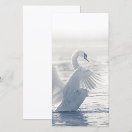 Witte Zwaan Kaart (Voorkant / Achterkant)