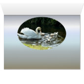 Witte zwaan met kippen (Binenzijde Horizontaal (Onderkant))