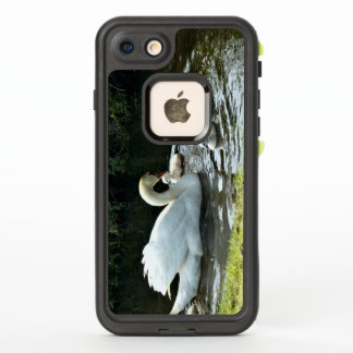 Witte zwaan met kippen