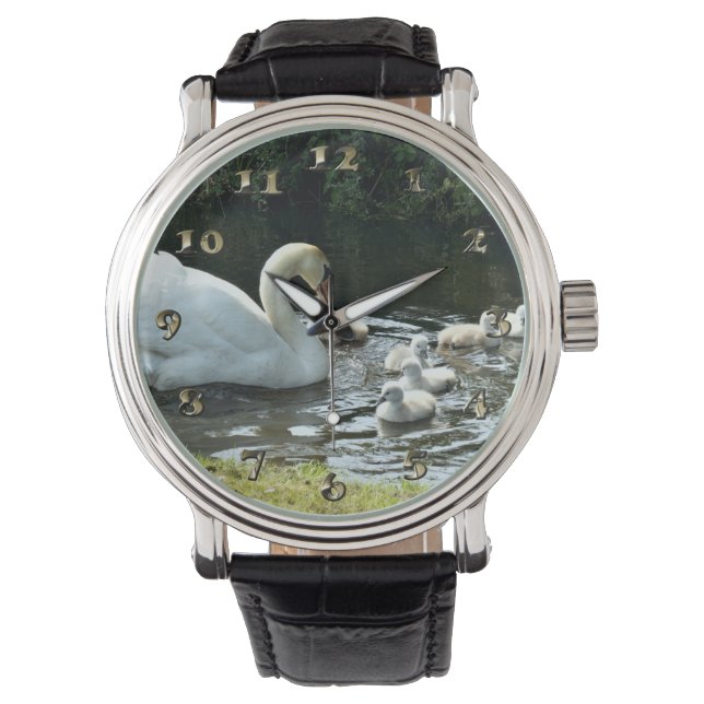 Witte zwaan met kippen horloge (Voorkant)
