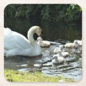 Witte zwaan met kippen kartonnen onderzetters (Voorkant)