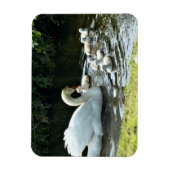 Witte zwaan met kippen magneet (Verticaal)