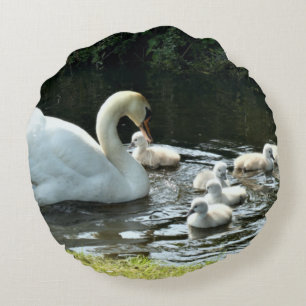 Witte zwaan met kippen rond kussen
