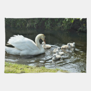 Witte zwaan met kippen theedoek