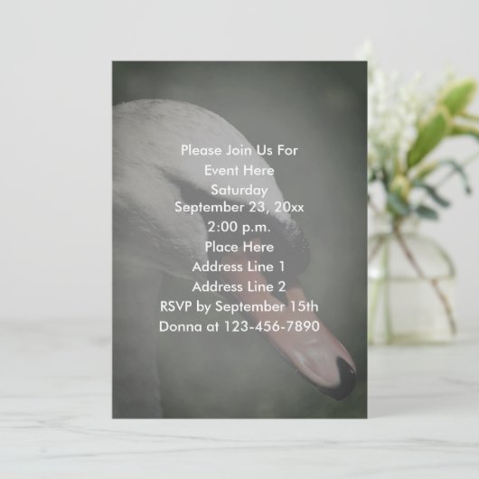 witte zwaan Natuur Kaart (Staand voorkant)