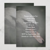 witte zwaan Natuur Kaart (Voorkant / Achterkant)