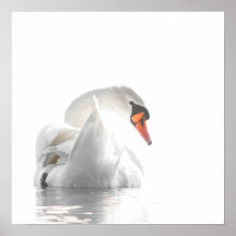 Witte Zwaan op Nevelig Water – Minimalistische Wil