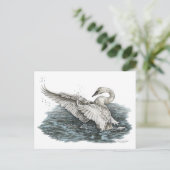 Witte zwaan op water briefkaart (Staand voorkant)
