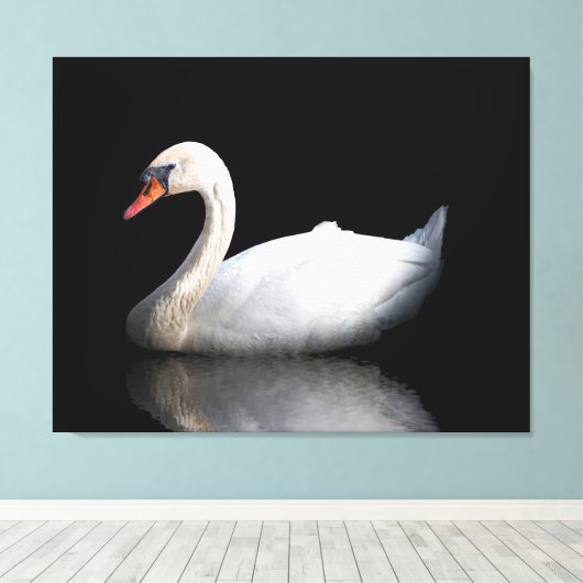 Witte zwaan op zwart canvas afdruk (Insitu (Houten vloer))