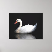Witte zwaan op zwart canvas afdruk (Voorkant)