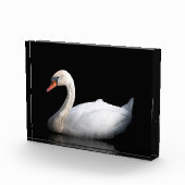 Witte zwaan op zwart fotoblokken (Rechts)