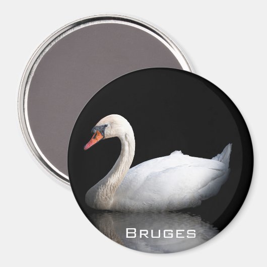 Witte zwaan op zwart magneet (Voorkant / Achterkant)