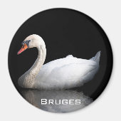 Witte zwaan op zwart magneet (Voorkant)