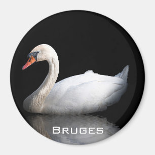 Witte zwaan op zwart magneet